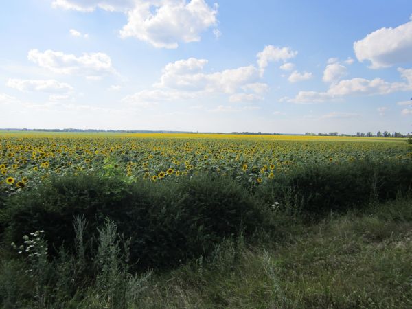 Bericht über die Reise nach Uman für einen Motorradflug 5 Straßen zurück in die UdSSR. Foto