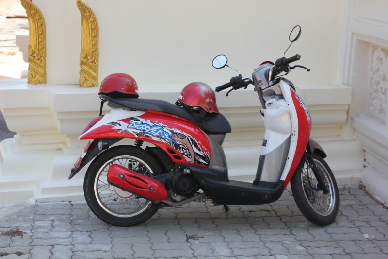 Honda Scoopy Scooter Fahrerlebnis